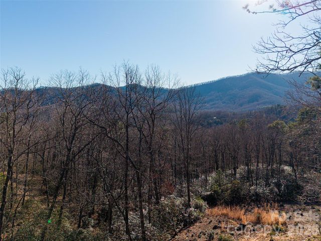 92 Smokey Ridge Trail, Arden, NC 28704