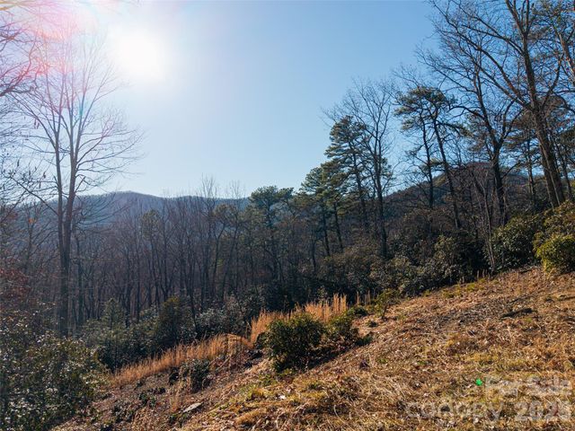 92 Smokey Ridge Trail, Arden, NC 28704