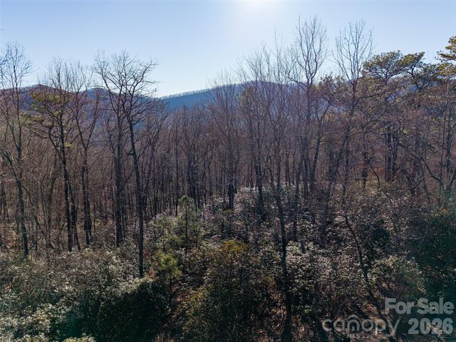 92 Smokey Ridge Trail, Arden, NC 28704