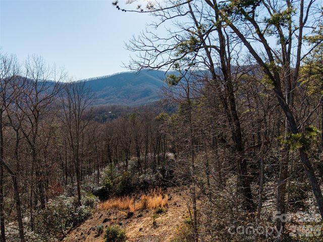 92 Smokey Ridge Trail, Arden, NC 28704