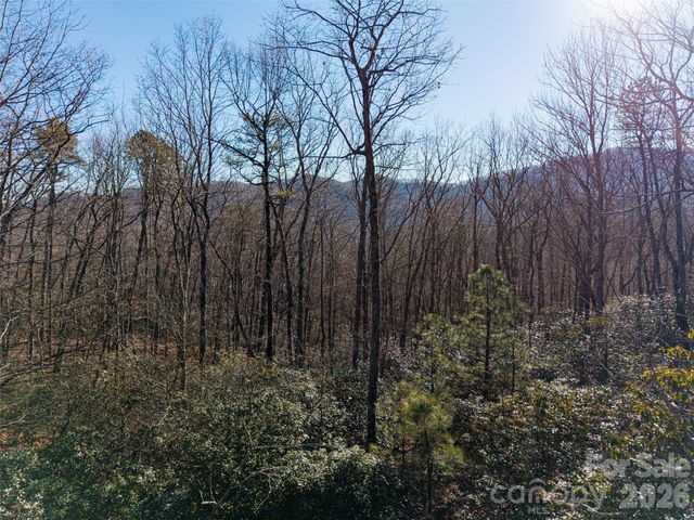 92 Smokey Ridge Trail, Arden, NC 28704