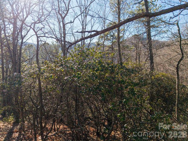 92 Smokey Ridge Trail, Arden, NC 28704