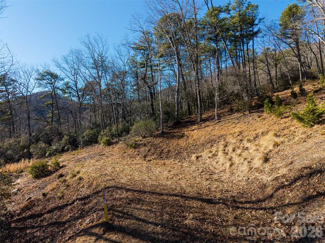 92 Smokey Ridge Trail, Arden, NC 28704