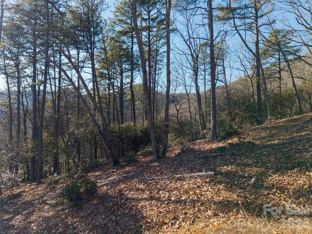 92 Smokey Ridge Trail, Arden, NC 28704