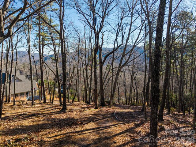 92 Smokey Ridge Trail, Arden, NC 28704