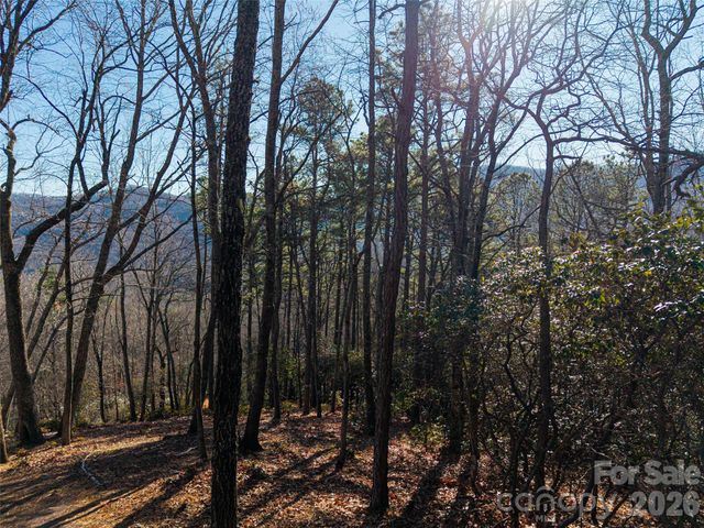 92 Smokey Ridge Trail, Arden, NC 28704