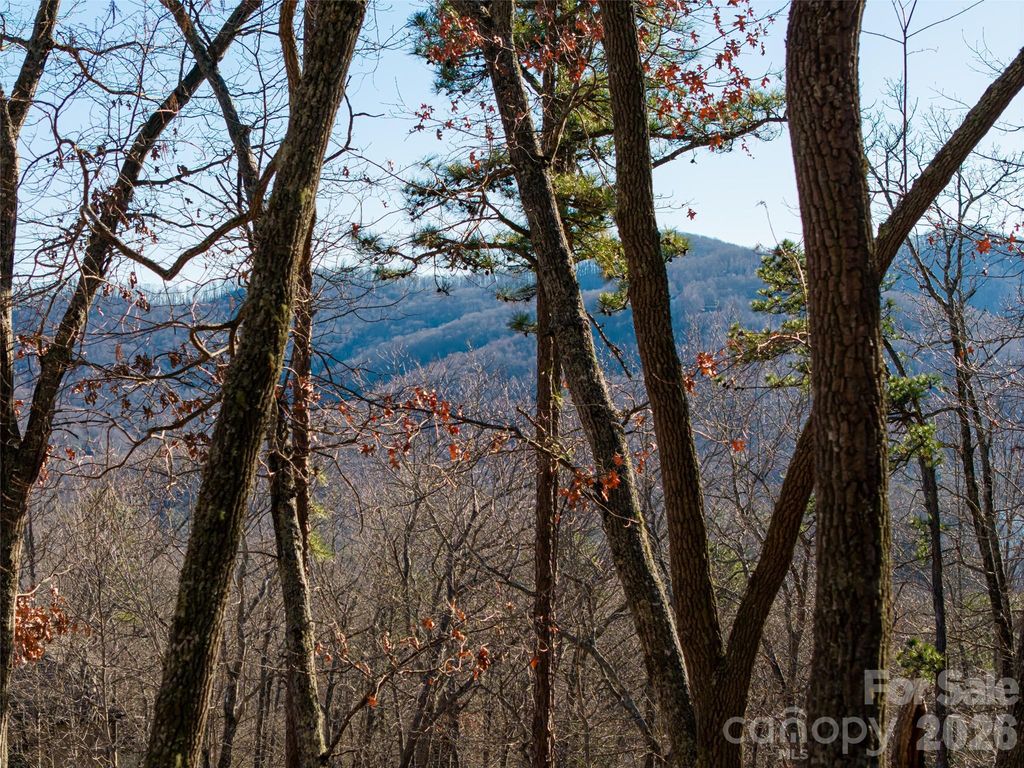 92 Smokey Ridge Trail, Arden, NC 28704