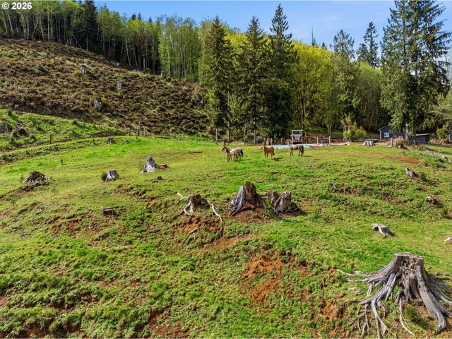480 Apple Creek Rd, Longview, WA 98632