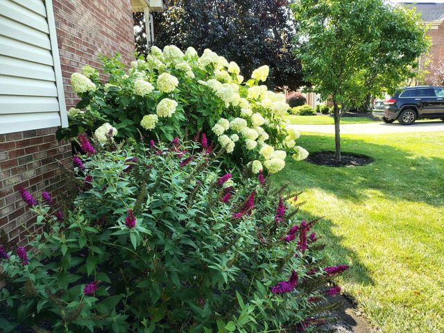 6253 Zilpha Court, Fairfield Twp, OH 45011