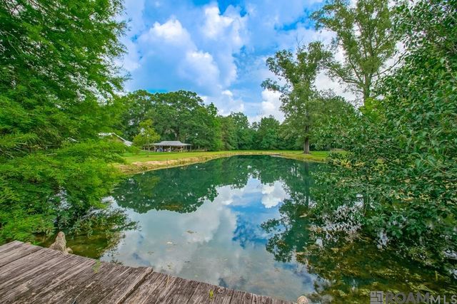 18759 Mclin Rd, Livingston, LA 70754