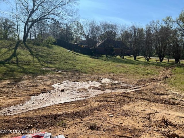 1070 W Green T Lake, Hernando, MS 38632