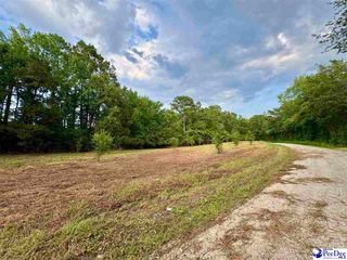 3.40 +/- Freeman Loop Road, Chesterfield, SC 29709