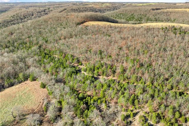 7001 Bear Creek Drive, Harrison, AR 72601