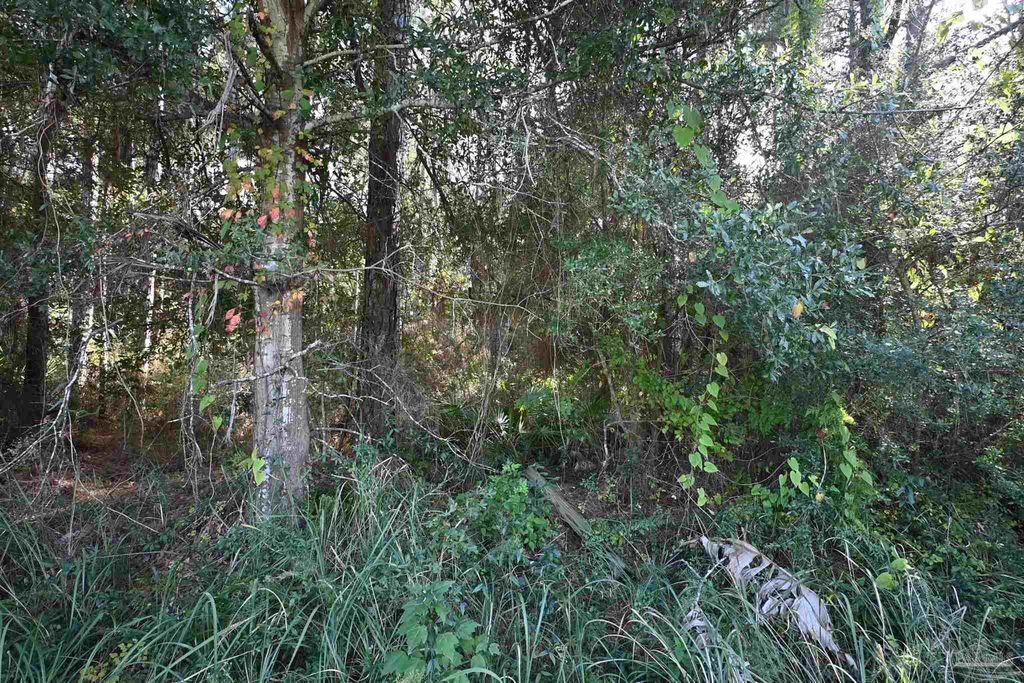 6421 Michigan Ave, Milton, FL 32583