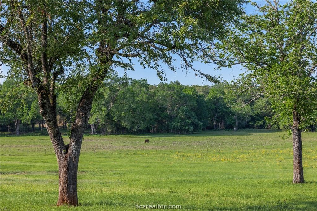 3004 County Road 310, Caldwell, TX 77836 — photo 2