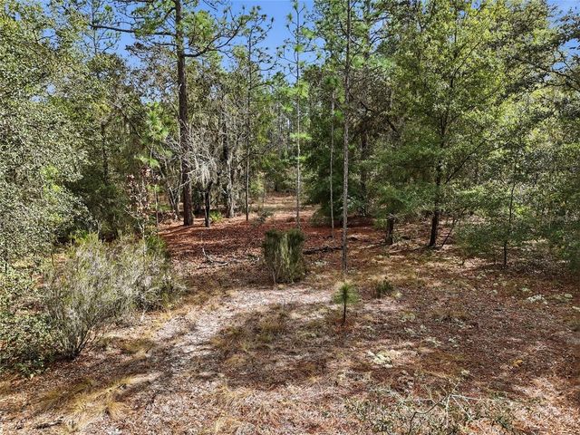 00 NE 111TH LANE, Bronson, FL 32621