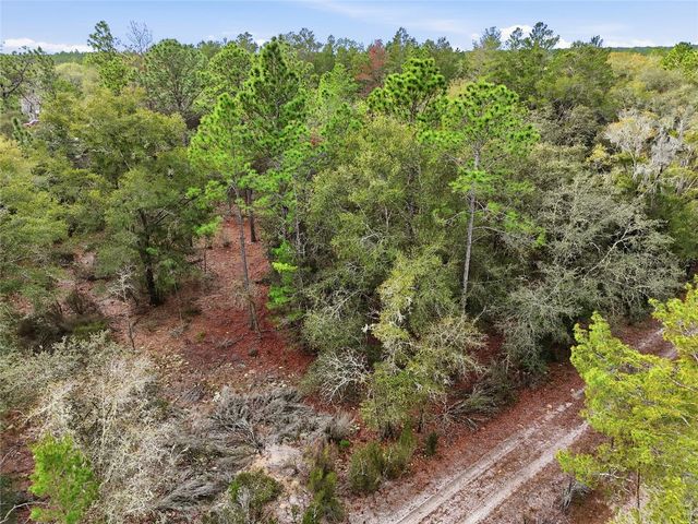 00 NE 111TH LANE, Bronson, FL 32621