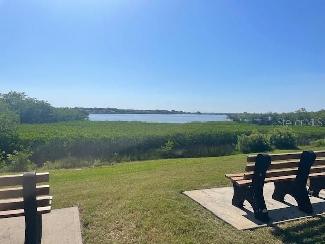 143 FOREST LANE 14, Safety Harbor, FL 34695