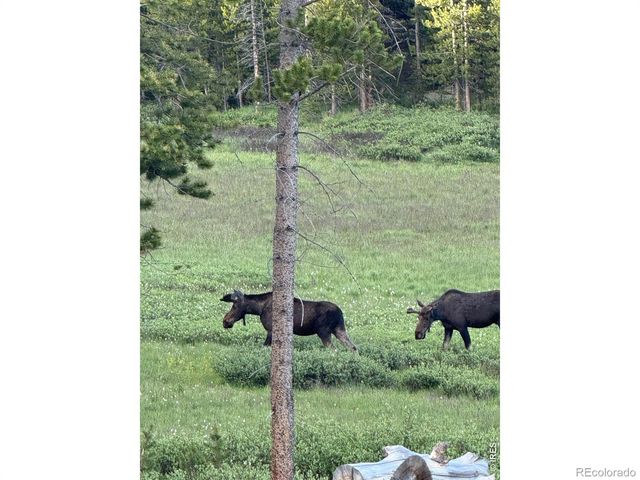428 Rustic Road, Bellvue, CO 80512