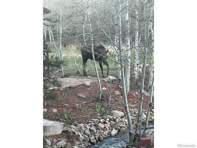 428 Rustic Road, Bellvue, CO 80512
