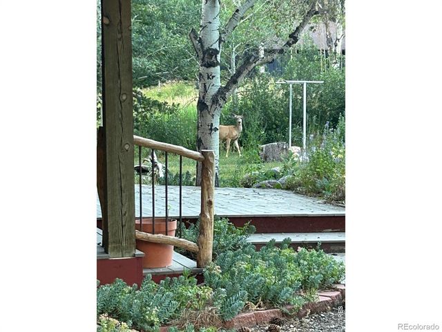 428 Rustic Road, Bellvue, CO 80512