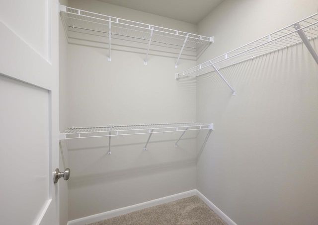 643 Tabby Turn Drive, Middleton, WI 53562