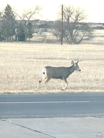 4746 Cuerno Verde Blvd, Colorado City, CO 81019