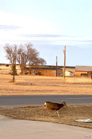 4746 Cuerno Verde Blvd, Colorado City, CO 81019