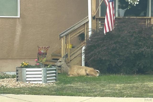 4746 Cuerno Verde Blvd, Colorado City, CO 81019