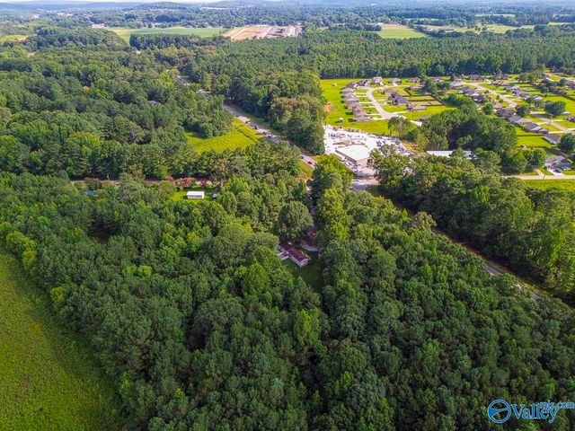 441 Jim Mclemore Road, Harvest, AL 35749