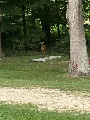 3379 113th Avenue, Allegan, MI 49010