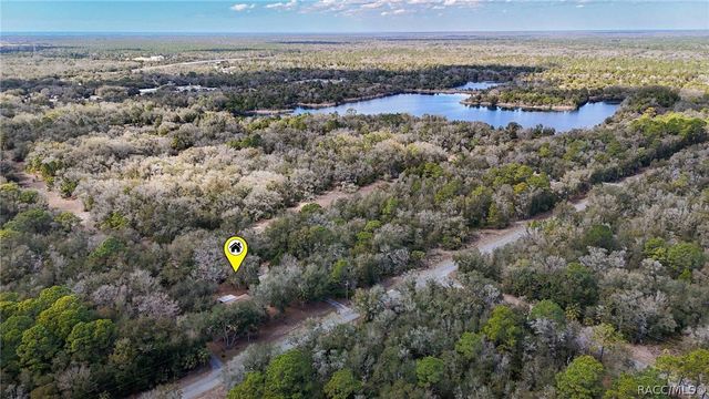 10022 N Twinflower Terrace, Crystal River, FL 34428