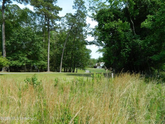 6430 Maluhia Drive, Diamondhead, MS 39525
