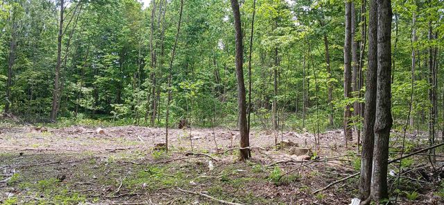 0 North Pond Road, Salisbury, VT 05769