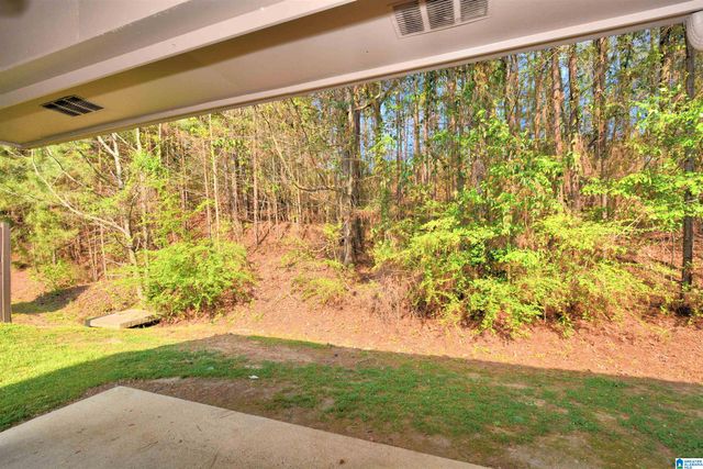 129 CHESSER RESERVE DRIVE, Chelsea, AL 35043