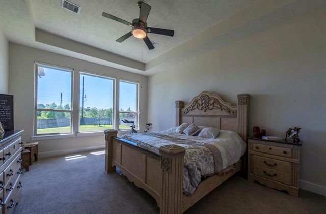 26 Botanical Vista Drive, Tomball, TX 77375