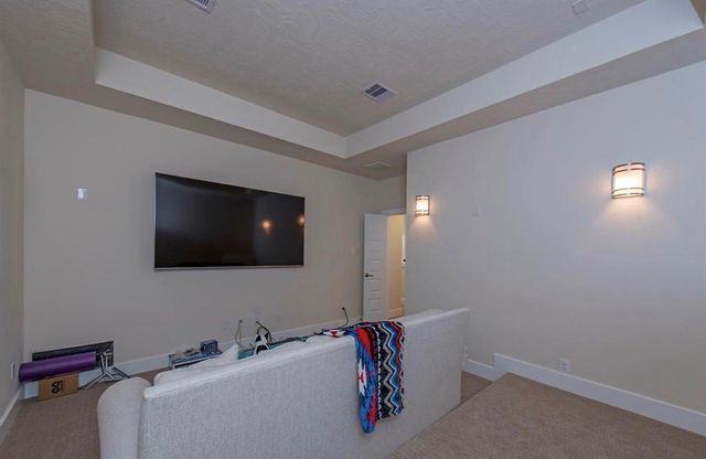 26 Botanical Vista Drive, Tomball, TX 77375