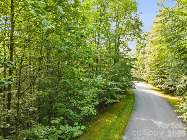 TBD Allison Creek Trail A5, Brevard, NC 28712