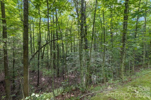TBD Allison Creek Trail A5, Brevard, NC 28712