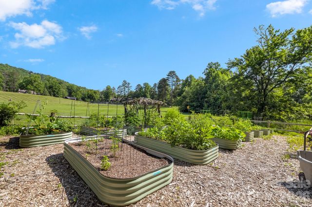 TBD Allison Creek Trail A5, Brevard, NC 28712
