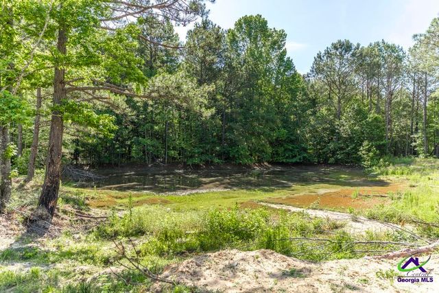 3270 Hamlin Road, Lizella, GA 31052