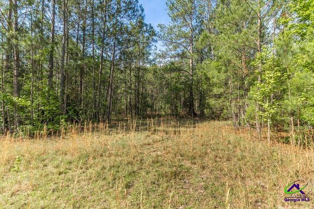 3270 Hamlin Road, Lizella, GA 31052