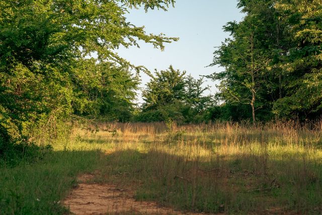 951 S Loop 7, Athens, TX 75752
