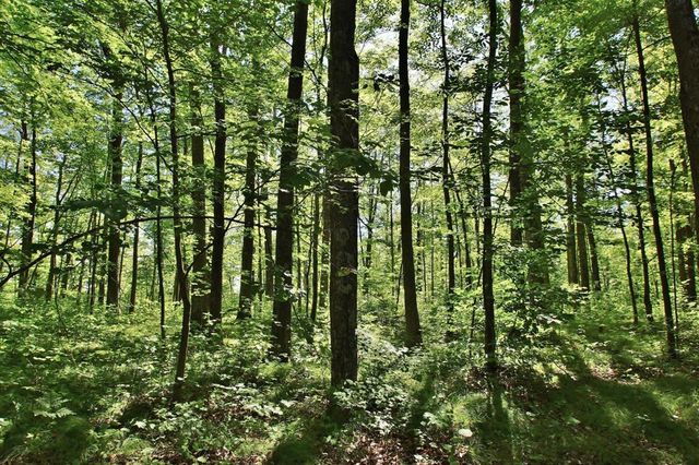 8654 Ochu Road, Hayward, WI 54843