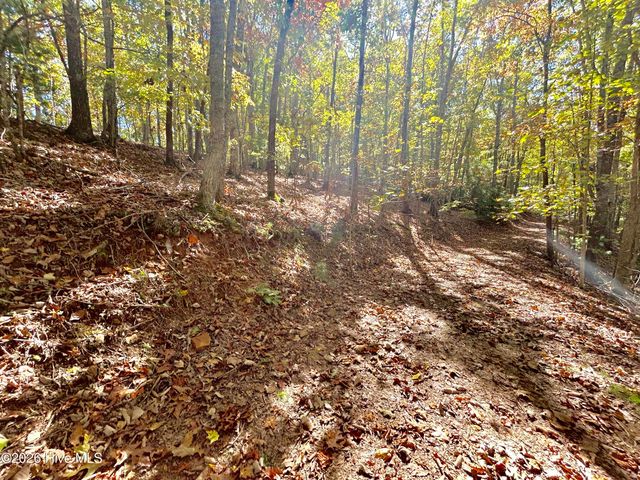 Lot 1,2 Royal Oaks Trail, Brasstown, NC 28902