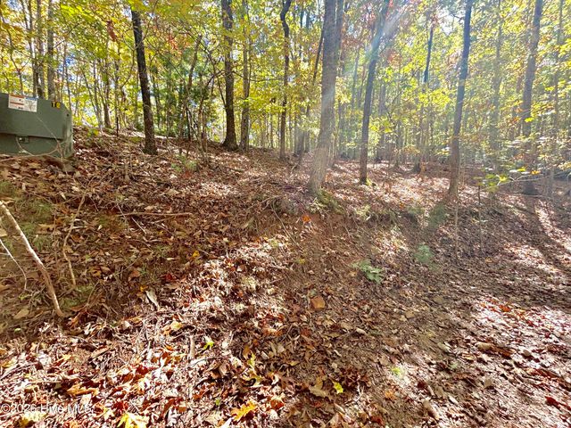 Lot 1,2 Royal Oaks Trail, Brasstown, NC 28902