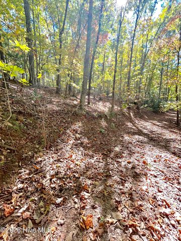Lot 1,2 Royal Oaks Trail, Brasstown, NC 28902