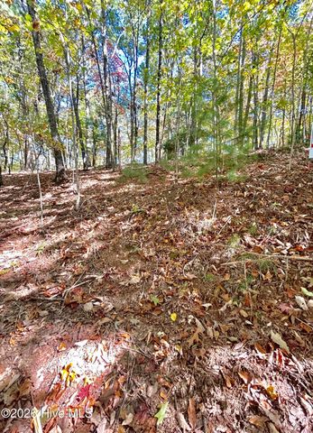 Lot 1,2 Royal Oaks Trail, Brasstown, NC 28902