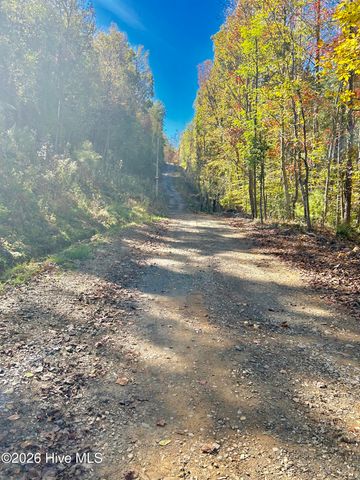Lot 1,2 Royal Oaks Trail, Brasstown, NC 28902