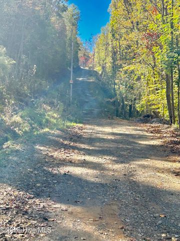 Lot 1,2 Royal Oaks Trail, Brasstown, NC 28902